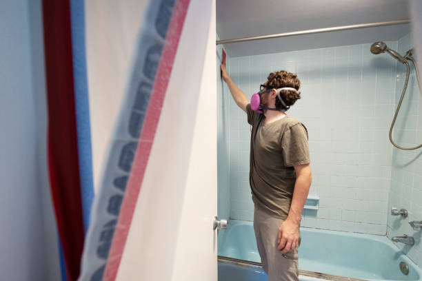 Best Environmental Consulting for Mold Prevention  in Maggie Valley, NC