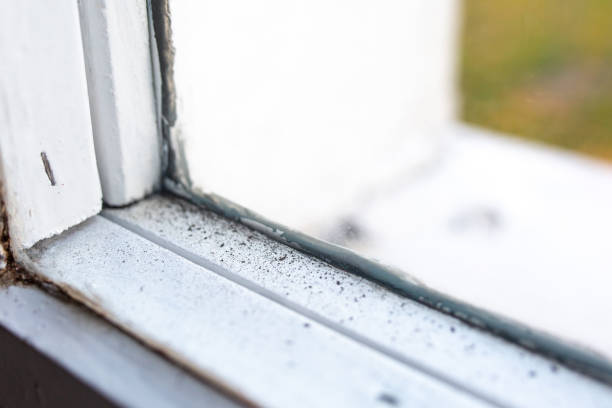 Best Mold Removal for HVAC Installations  in Maggie Valley, NC