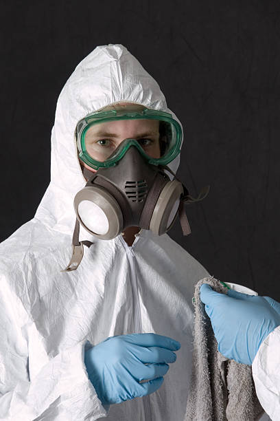 Best Residential Mold Inspection & Testing  in Maggie Valley, NC